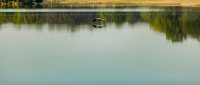 Lake And Trees